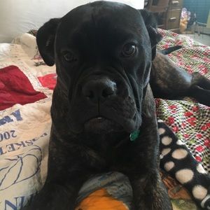 Meet your Posher, Anna